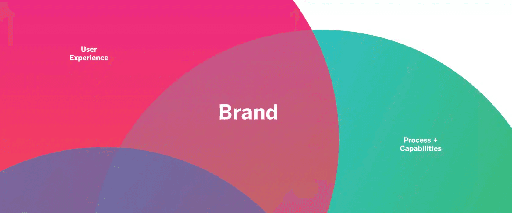 7 Elements Brand