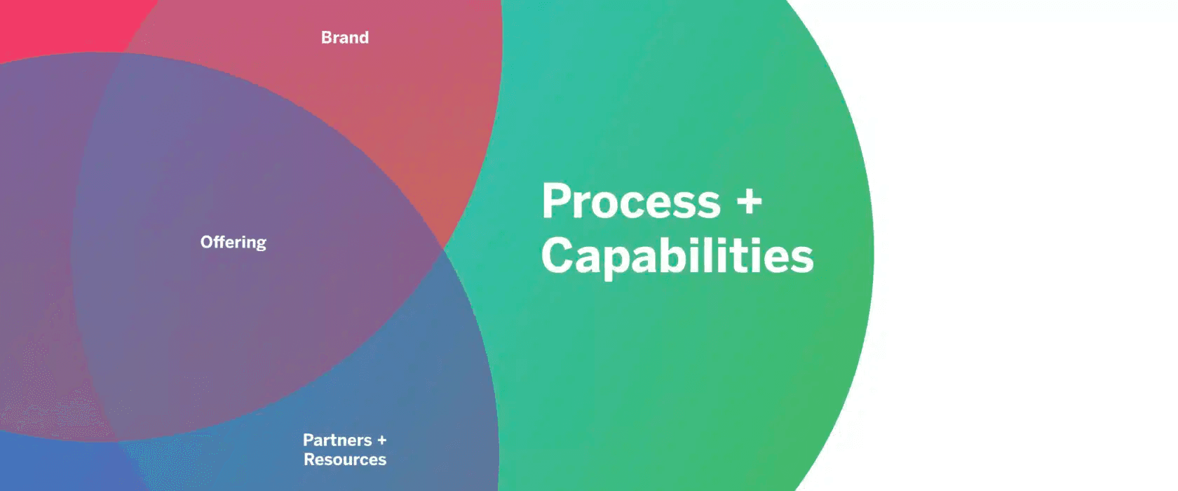 7 Elements Process and Capabilities