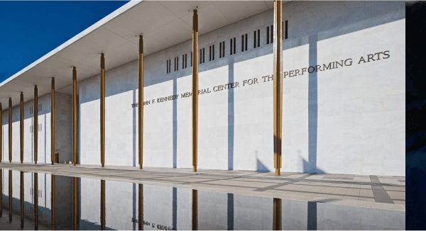 How does a brand identity become a force for growth?