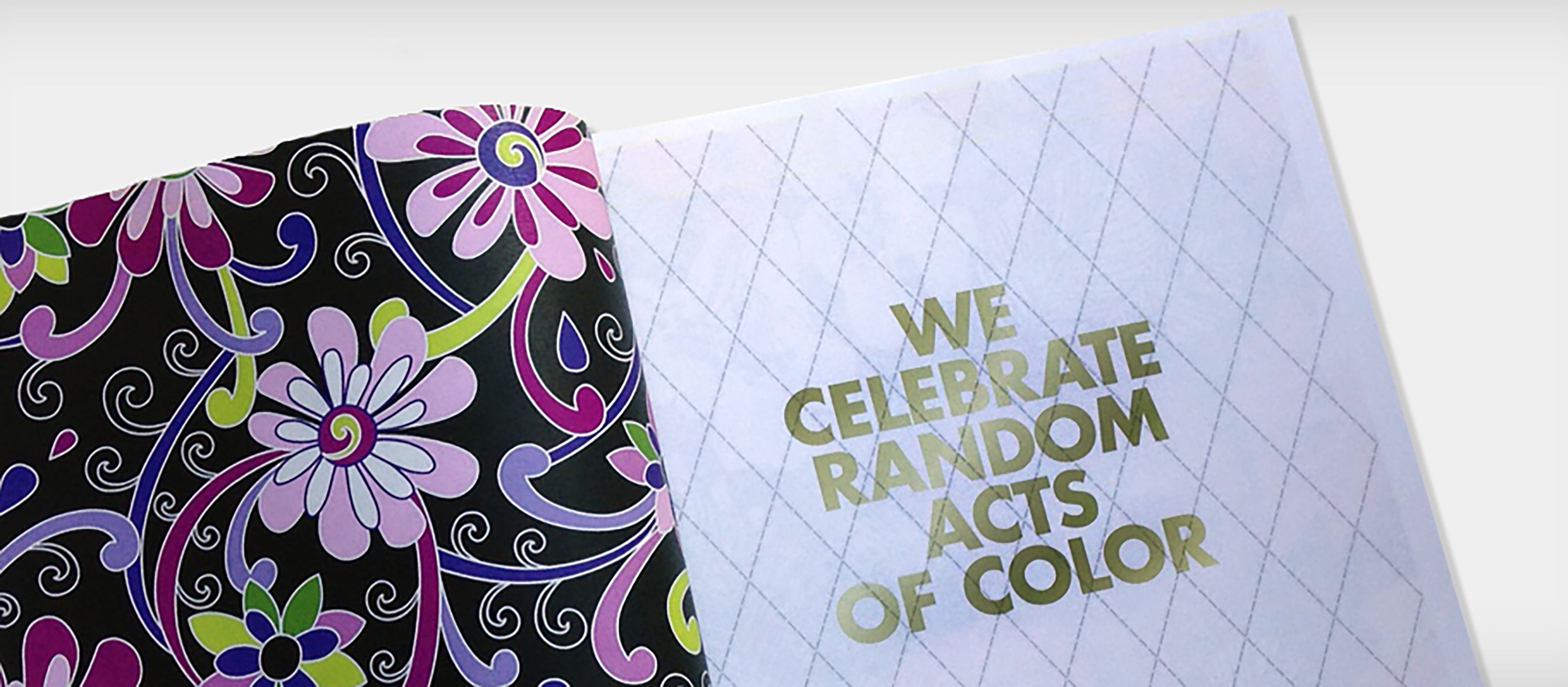 We Celebrate Random Acts Of Color